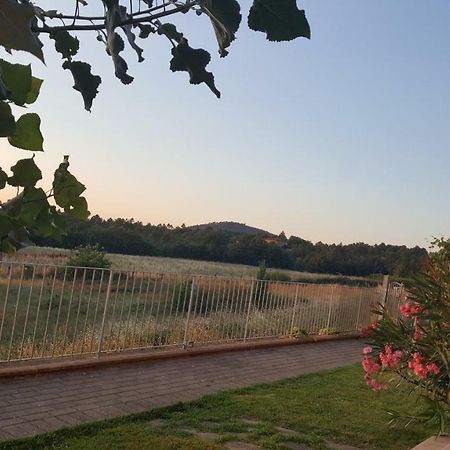 Villa Casa La Pineta à Pievescola Extérieur photo