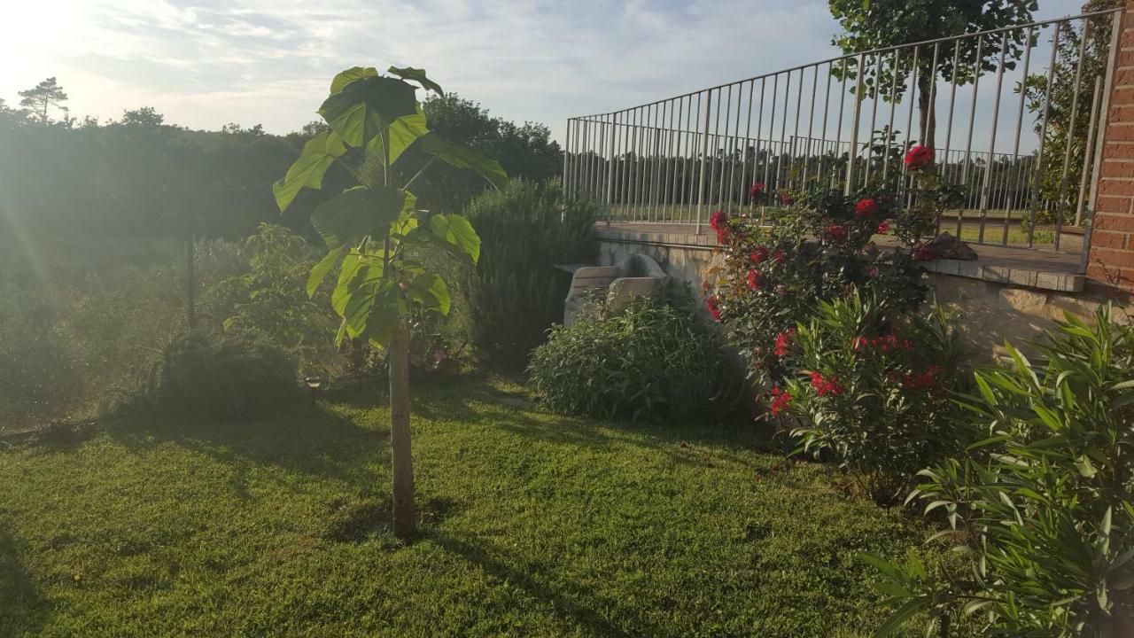 Villa Casa La Pineta à Pievescola Extérieur photo